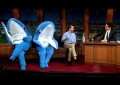 VÍDEO: Entrevistan a los tiburones del Super Bowl