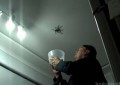 VÍDEO: Así NO se atrapa una araña