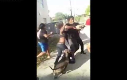 Un pitbull salva a una chica de ser agredida salvajemente por otras tres