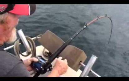 Un gran tiburón blanco se cobra la pieza de un pescador