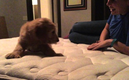 VÍDEO: Se emociona cuando conoce a su perrito
