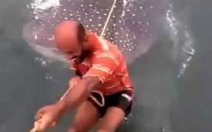 Dos hombres usan un tiburón ballena como tabla de surf