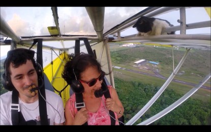 El ‘gato volador’ reaparece en los cielos de Francia