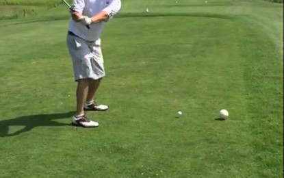 Un golfista golpea tan mal que mata a una gaviota de un pelotazo