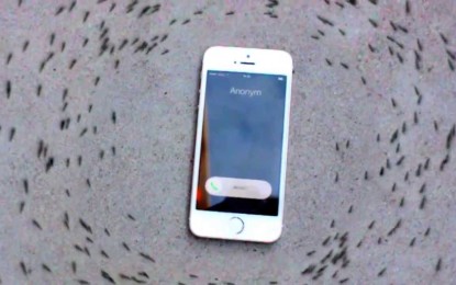 ¿Por qué un iPhone pone a ‘bailar’ locamente en círculo a todas estas hormigas?