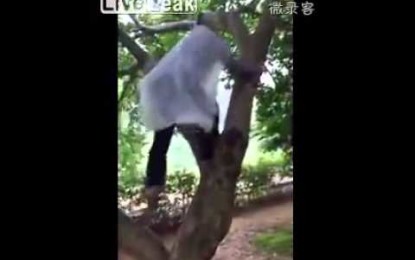 Una anciana de 97 años se sube a los árboles con la agilidad de una joven