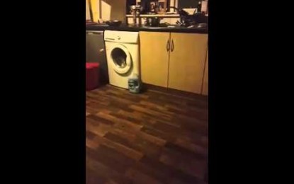 “Mi casa está embrujada”: joven graba un vídeo para demostrar que no está loca
