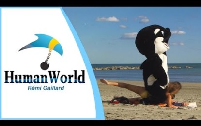VÍDEO: Se disfraza de ballena para detener el maltrato animal