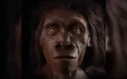 6 millones de años en un minuto: cómo ha evolucionado el rostro humano