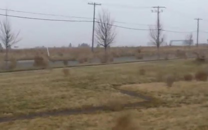 Iba por una carretera cuando observo extraño fenómeno [VIDEO]