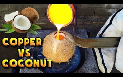 ¿Qué ocurre si viertes cobre fundido dentro de un coco?