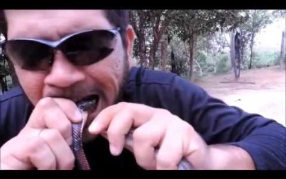 Un activista brasileño se mete cuatro serpientes vivas en la boca