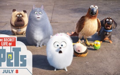 El Nuevo Anuncio The Secret Life of Pets la Nueva Pelicula de Animacion de Universal Pictures