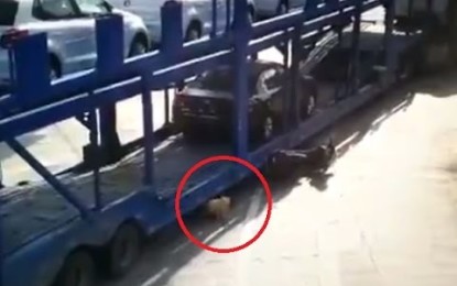 Niño sobrevivió luego de que un tráiler le pasara por encima