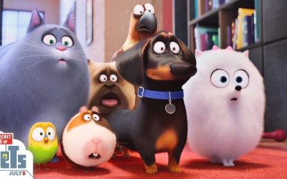 El Nuevo Anuncio de The Secret Life of Pets