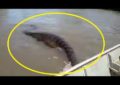 Hallan monstruosa anaconda gigante en Brasil