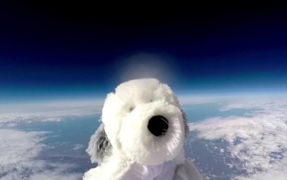 Se busca a Sam, el perro de peluche ‘cosmonauta’ que alcanzó la estratosfera