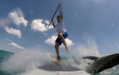 Surfista cae al agua tras encontrarse con tiburón [VIDEO]