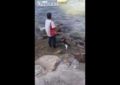 Un gato se va de pesca junto a su dueño