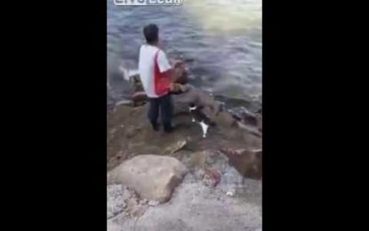 Un gato se va de pesca junto a su dueño