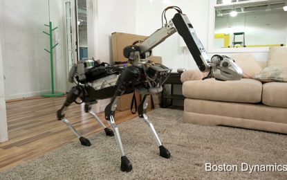 ‘Doggie droid’, un perrito que sube las escaleras y se levanta solo, pero no comparte la bebida