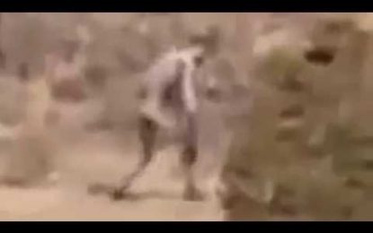 Captan en video a una ‘misteriosa criatura humanoide’ en un desierto de Portugal
