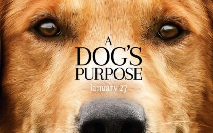 El Emocional Anuncio de la Pelicula A Dog’s Purpose