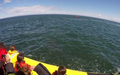 Escalofriante momento en que una gigante ballena casi ‘se traga’ un bote lleno de turistas