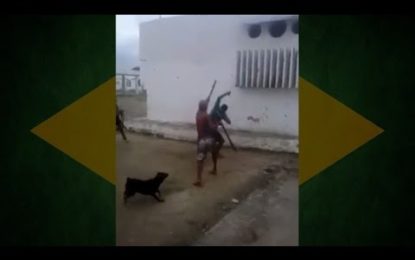 Dos brasileños se pelean como espartanos bajo el apoyo de sus perros