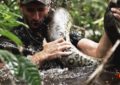 Fue tragado por anaconda y dice amar la naturaleza