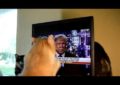 Este ‘ofendido’ gato se vuelve loco cuando ve a Donald Trump en la TV