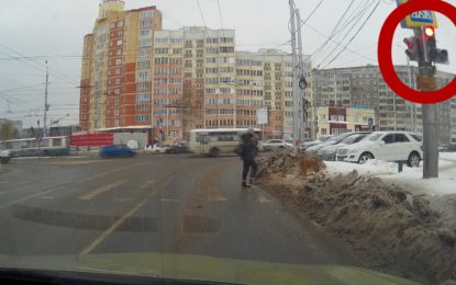 Alucinarás al ver a este perro cruzando la carretera