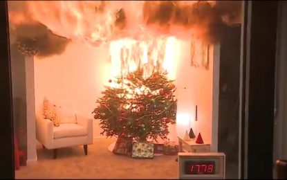 Cómo un árbol de Navidad puede convertirse en un infierno