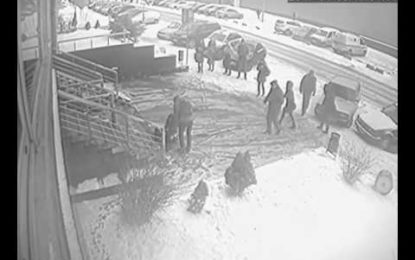 FUERTE VIDEO: Una mujer sobrevive tras ser literalmente aplastada por un coche