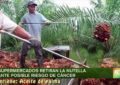 Video – Supermercados retiran la Nutella ante posible riesgo de cáncer