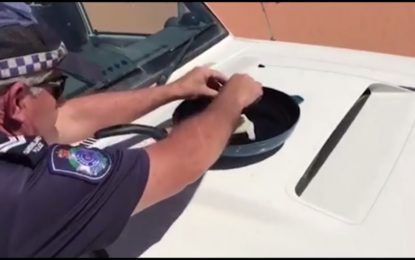 ¡Vaya calor ! Un policía fríe un huevo sobre su coche