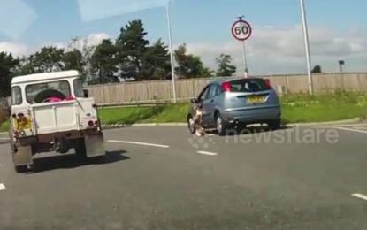 Un perro asoma la cabeza por la ventanilla de un coche en marcha y pasa esto