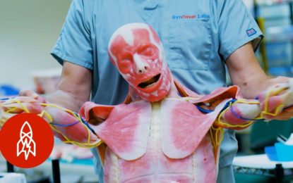 Empresa crea espeluznantes cadáveres humanos sintéticos para investigación médica