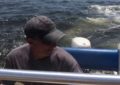 Una ballena sale a la superficie peligrosamente cerca de un barco
