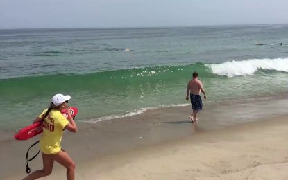 Dos surfistas escapan del ataque de un tiburón