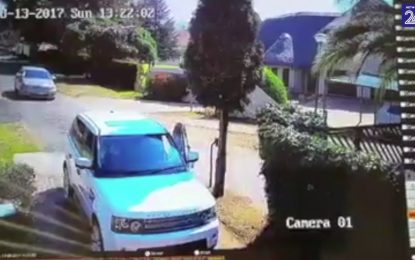 La increíble reacción de una mujer evita que les roben su coche y los secuestren