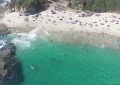 Una ballena asusta a los bañistas en una playa de California
