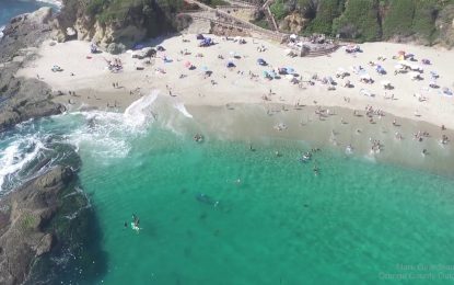 Una ballena asusta a los bañistas en una playa de California