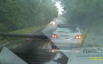 Un árbol casi parte por la mitad un coche al ser derribado por el huracán Irma