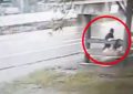 VIDEO: Es embestida por un automóvil a toda velocidad y sale caminando como si nada