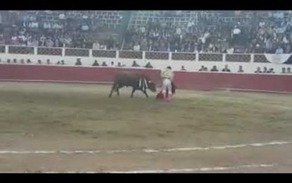 Esta vez ganó el toro: un joven torero mexicano recibe una cornada en el escroto (FUERTE VIDEO)