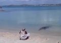 VIDEO: Un indígena australiano juega con su ‘mascota’, un enorme cocodrilo