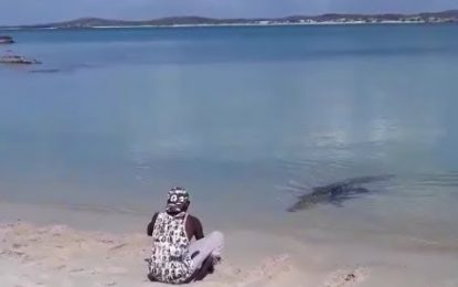 VIDEO: Un indígena australiano juega con su ‘mascota’, un enorme cocodrilo