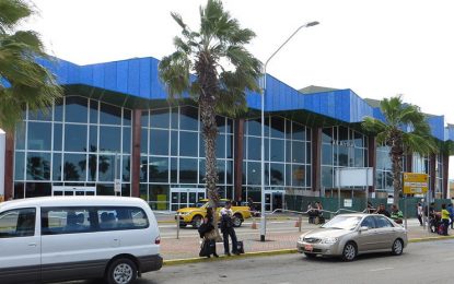 Empleados de un aeropuerto salvan a una mujer que se peleaba con su pareja por un selfi (VIDEO)