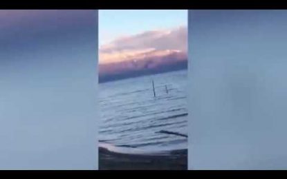 VIDEO: Descubren en los Balcanes una extraña criatura idéntica al monstruo del lago Ness